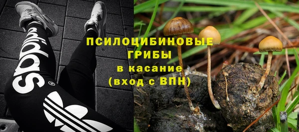 ПСИЛОЦИБИНОВЫЕ ГРИБЫ Алексеевка