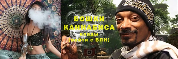ПСИЛОЦИБИНОВЫЕ ГРИБЫ Алексеевка