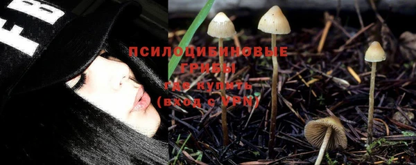 ПСИЛОЦИБИНОВЫЕ ГРИБЫ Алексеевка