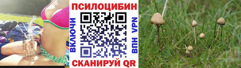 Галлюциногенные грибы ЛСД  Пенза 