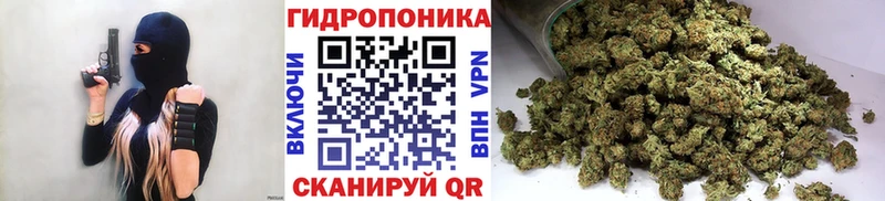 Каннабис OG Kush  кракен как войти  Пенза 